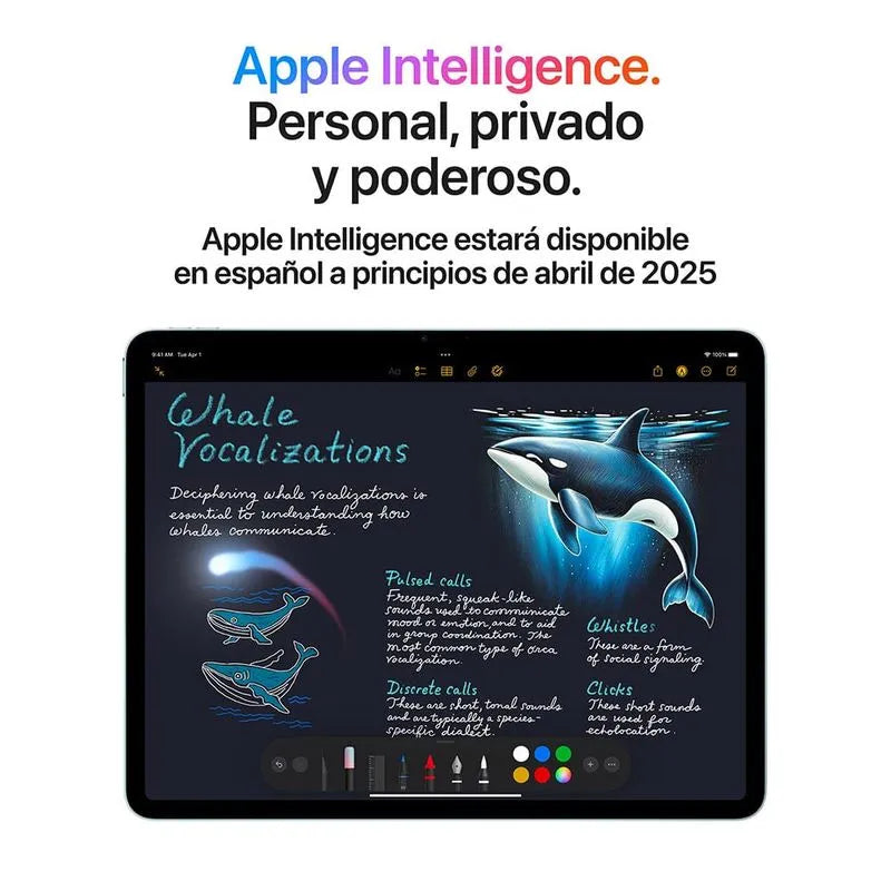 Apple IPad Air 13
